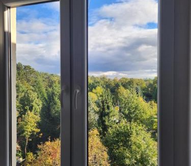 Psie Pole Apartment | Grudziądzka 69 Apartment