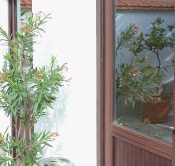 Tryavna House | Guest House Dar