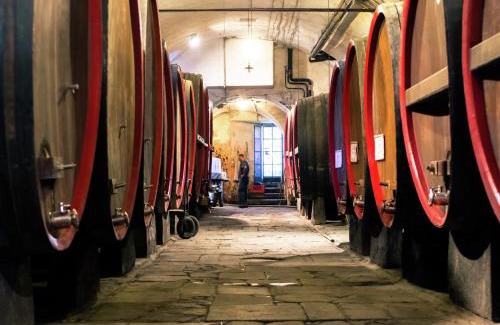 Saint-remy-de-provence House | Guest House in Monferrato with Wine Tasting