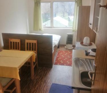 Vrbno pod Pradedem House | Guest House Krahulec