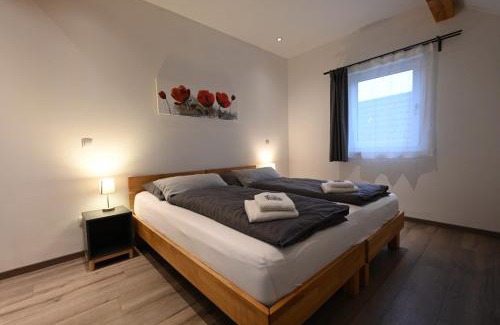 Grossheirath Apartment | Guesthouse-Coburg 3