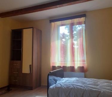Mirzaani Apartment | Guesthouse Dedoplistskaro