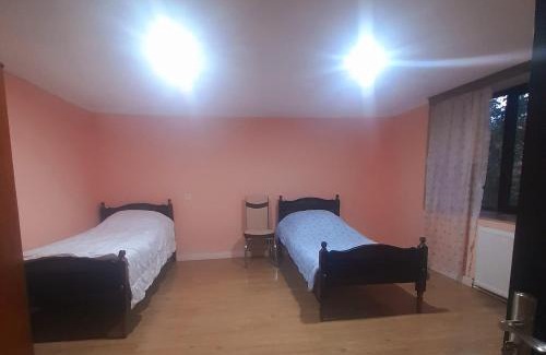 Mirzaani Apartment | Guesthouse Dedoplistskaro