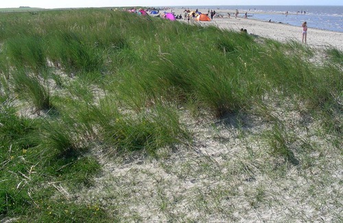 Wangerland House | Guesthouse Munchhausen
