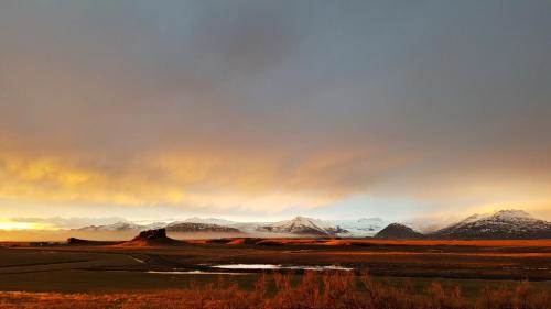 Hornafjörður House | Guesthouse Nypugardar