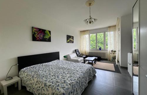 Trarego Hotel | Guesthouse Ostello dell Arte