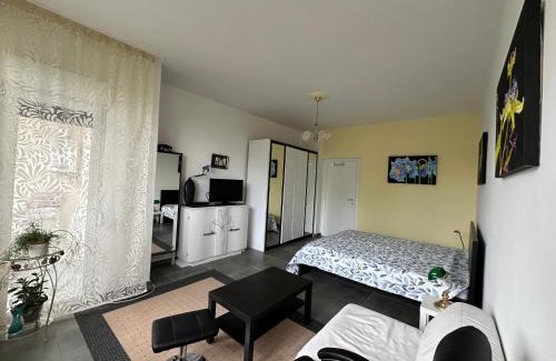 Trarego Hotel | Guesthouse Ostello dell Arte