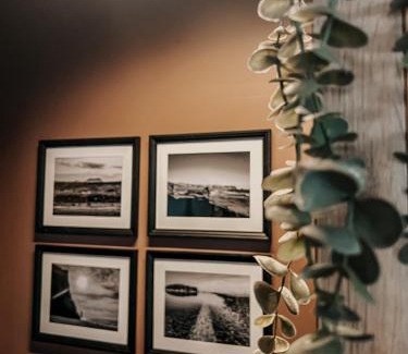 Vik I Myrdal House | Guesthouse Reynir