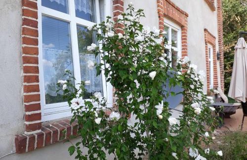 Lalendorf Apartment | Gutshaus Alt Krassow
