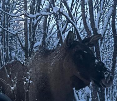 Tromso House | Håkøyveien 151, Tromsø