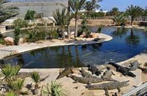 Houmt Souk Hotel | Hôtel Les Palmes d'Or