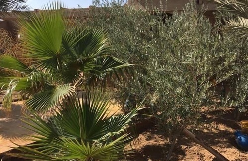 Merzouga Hotel | Hôtel Les Portes du Désert