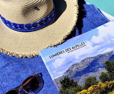 Saint-Etienne-du-Gres Hotel | Hôtel Mas Vidau Porte des Alpilles