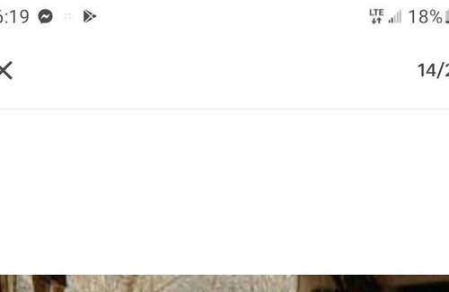 Elon House | H&M horse stable Loft Apartment