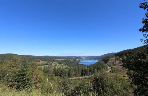 Feldberg Apartment | H&P Touristik Residenz Grafenmatt GRA-1-1