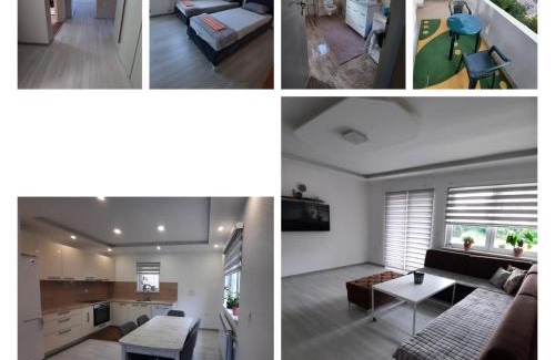 Binjezevo Villa | Hadzici