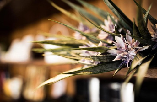 South Beach Bed & Breakfast | Haku Beach Days Inn