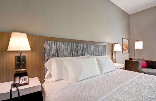 Borger Hotel | Hampton Inn & Suites Borger