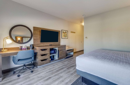 Gainesville Hotel | Hampton Inn & Suites Gainesville