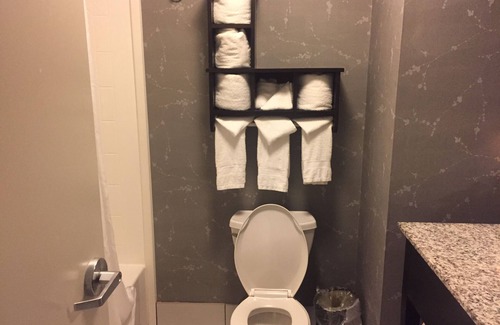 Glenwood South Hotel | Hampton Inn & Suites Raleigh Downtown