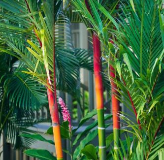 Hana Apartment | Hana Kai Maui - #101 Kaʻuiki premium oceanview 1 BR