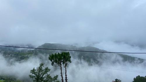 Naldehra Apartment | HANO Peak