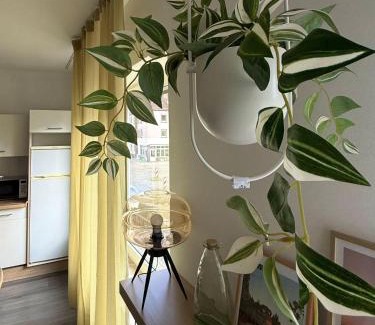 Sudervorstadt Apartment | Hanse Vermietung 3