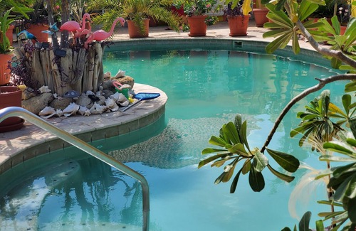 Punto de Oro Apartment | Happy Days, accommodation, Aruba, apartment, cozyfamily and pet friendly