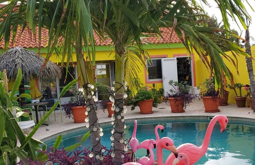 Punto de Oro Apartment | Happy Days, accommodation, Aruba, apartment, cozyfamily and pet friendly