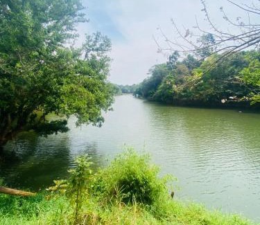 Mananthavady Villa | Happydays Hut
