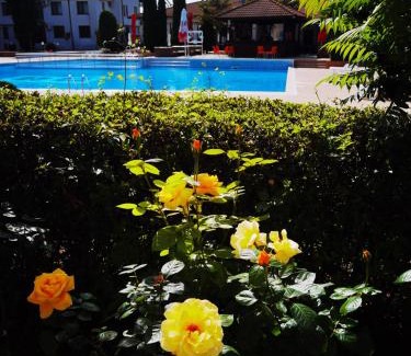 Osenovo Apartment | Harmony hills view apartments
