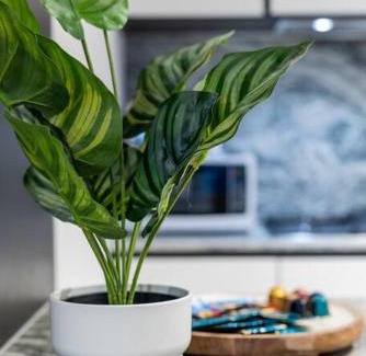 Melbourne Central Business District Apartment | Harry-WSP JawDropView 3B2B w Parking Near SkyBus