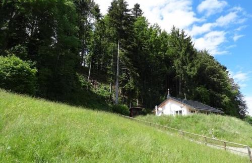 Pfaffikon District House | Haus Am Sternsberg