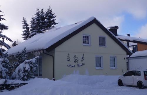 Schulenberg im Oberharz Apartment | Haus Bambi