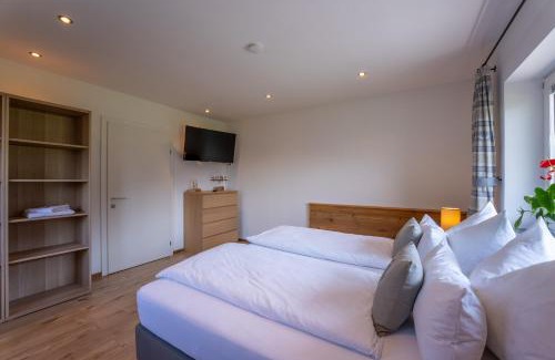 Pfarrwerfen Apartment | Haus Biechl mit Blick auf die Burg Hohenwerfen