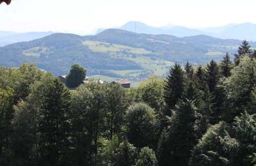 Anger House | Haus Freynend