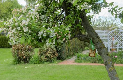 Hessenburg Apartment | Haus Mantuja