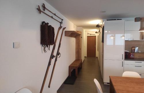 Davos-Platz Apartment | Haus Rhätikon 1. OG, links