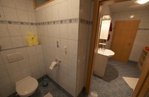 Saalbach-Hinterglemm Apartment | Haus Sandra