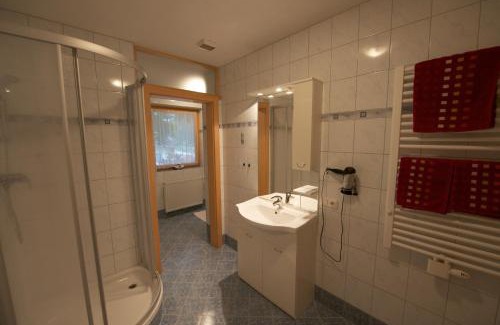 Saalbach-Hinterglemm Apartment | Haus Sandra