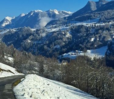 Taxenbach Apartment | Haus Taxberg