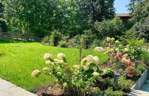 Scheffau am Wilden Kaiser Apartment | Haus Widmann