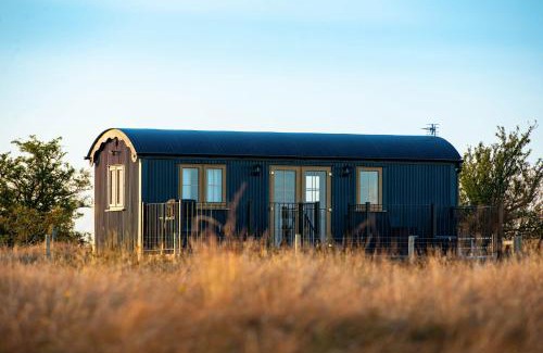 Pentrefelin House | Head For the Hills Glamping - Skylark Shepherd's Hut