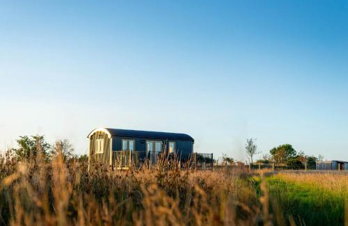 Pentrefelin House | Head For the Hills Glamping - Skylark Shepherd's Hut