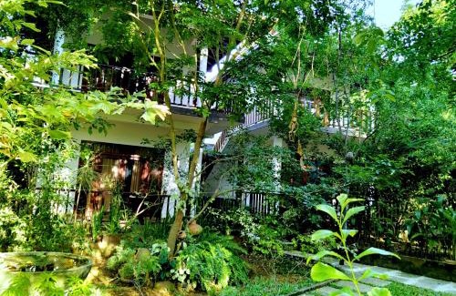 Rekawa Hotel | Heaven in Satinwoods