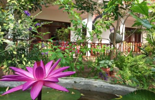 Rekawa Hotel | Heaven in Satinwoods