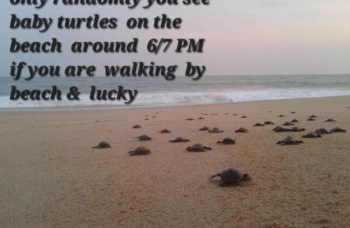 Rekawa Hotel | Heaven in Satinwoods