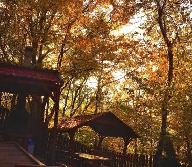 Praid House | Hegyi-lak vendégház