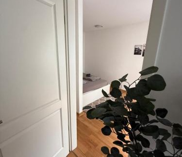 Suedvorstadt Apartment | Helle Ferienwohnung in Leipzig! No3