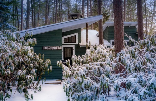 Meacham Cabin | Hermits Hut Cabin with Lake View